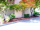 Property Image 1432